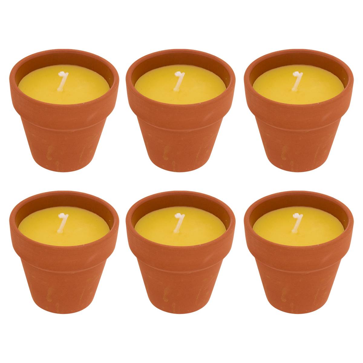 Scented Candle "Terry" Fruity Scent, Lemongrass, 40g