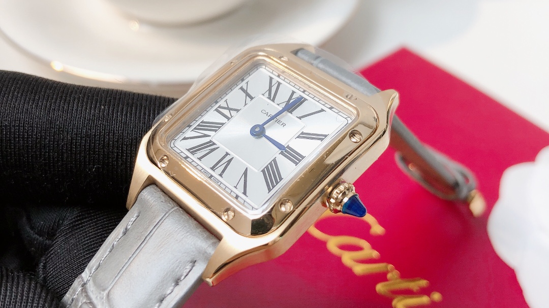 Santos Demoisell - Stainless Steel Mini - Grey Gold(1:1 replica) - Top club