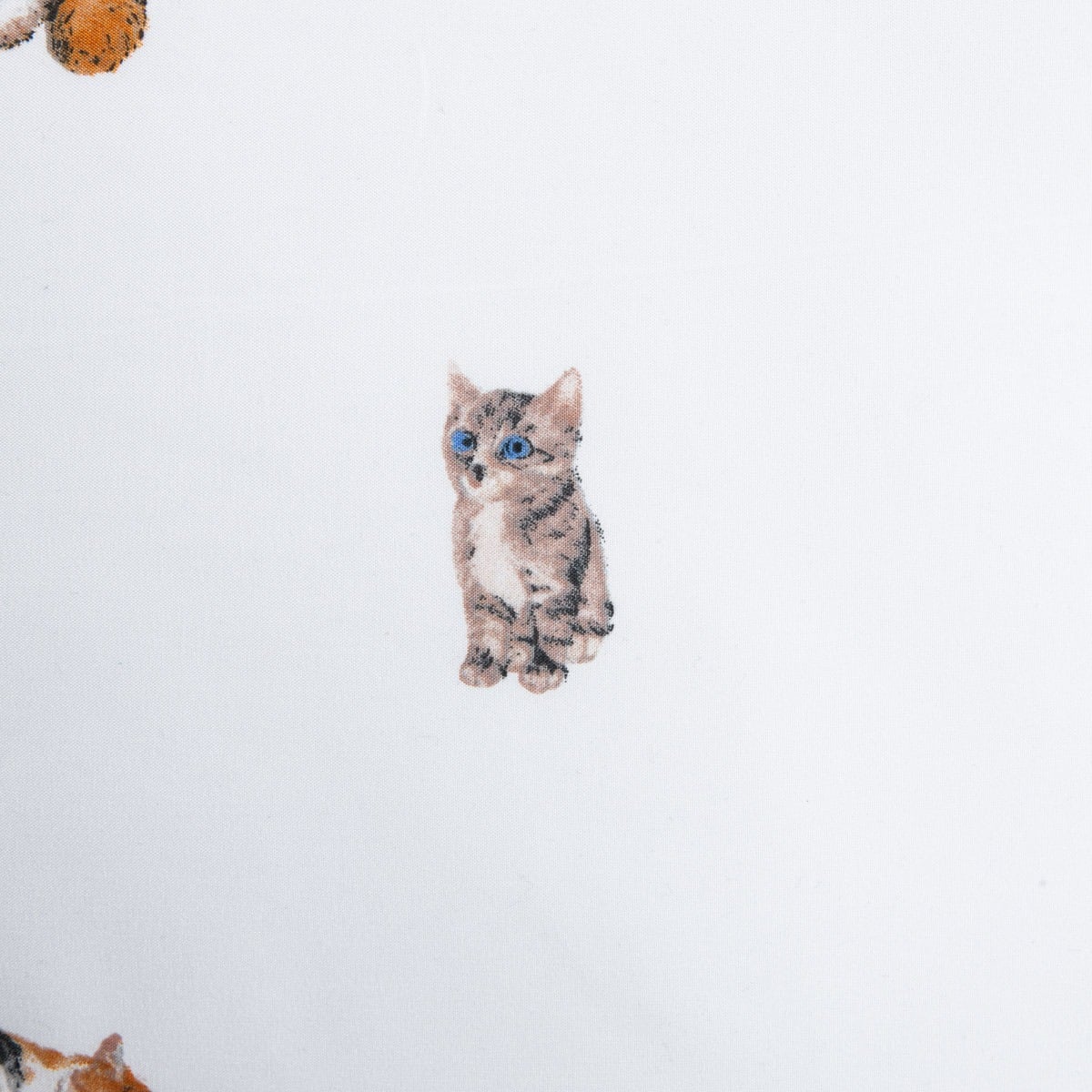 POŚCIEL GATTINO z mikrofibry w kotki 160X200 2X[50X60]