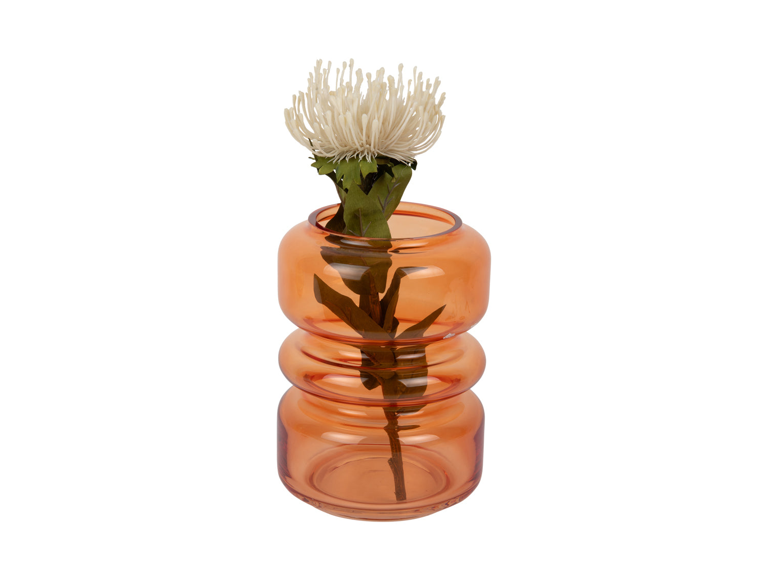 present time - Vase Maravillo