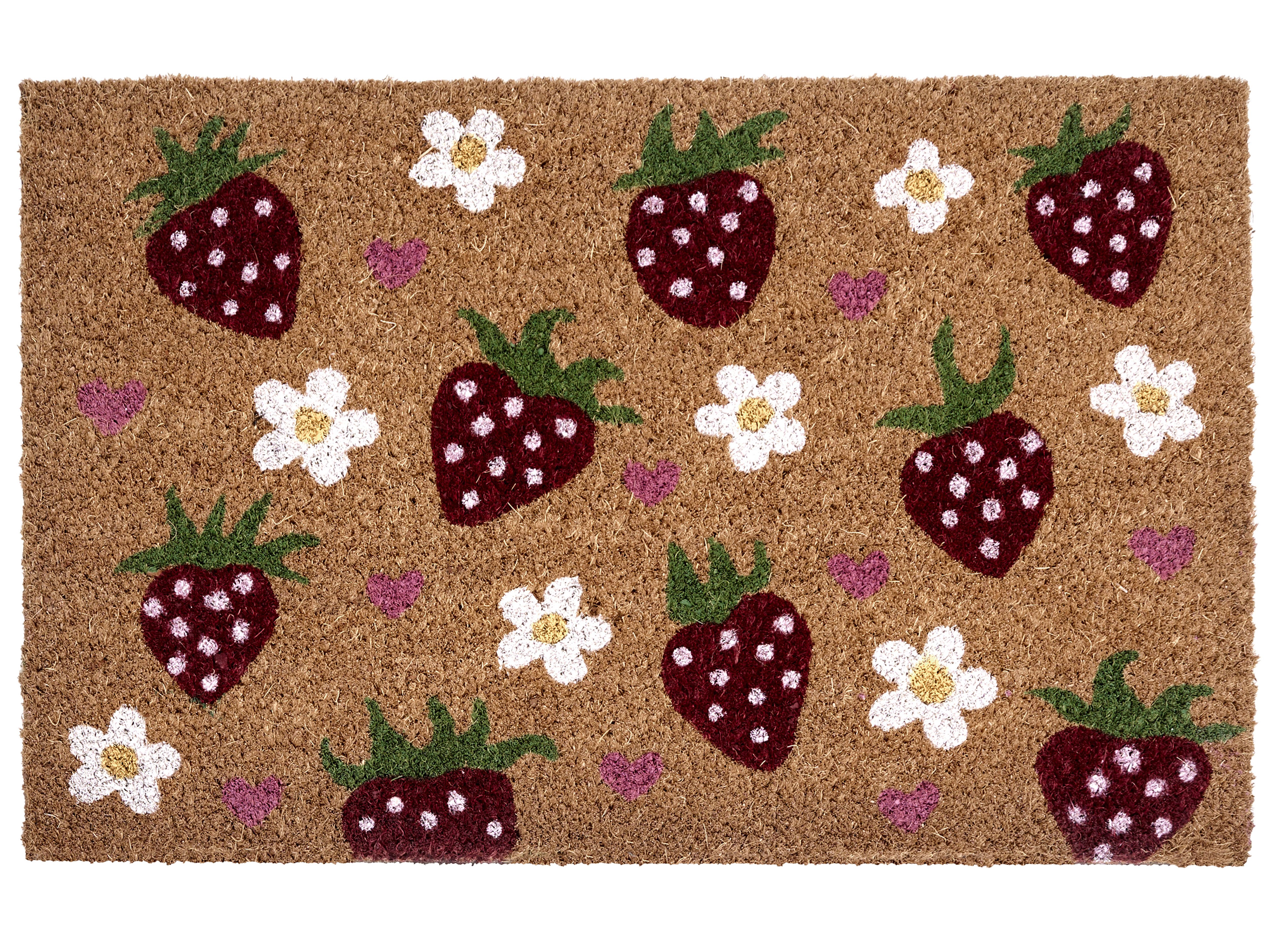 Doormat SHAININ Multicolour 50 x 80 cm Coir