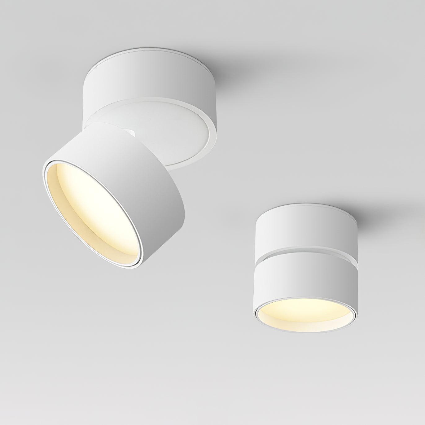 VerstelGloed - Plafondlamp met Flexibele Lichtinstellingen