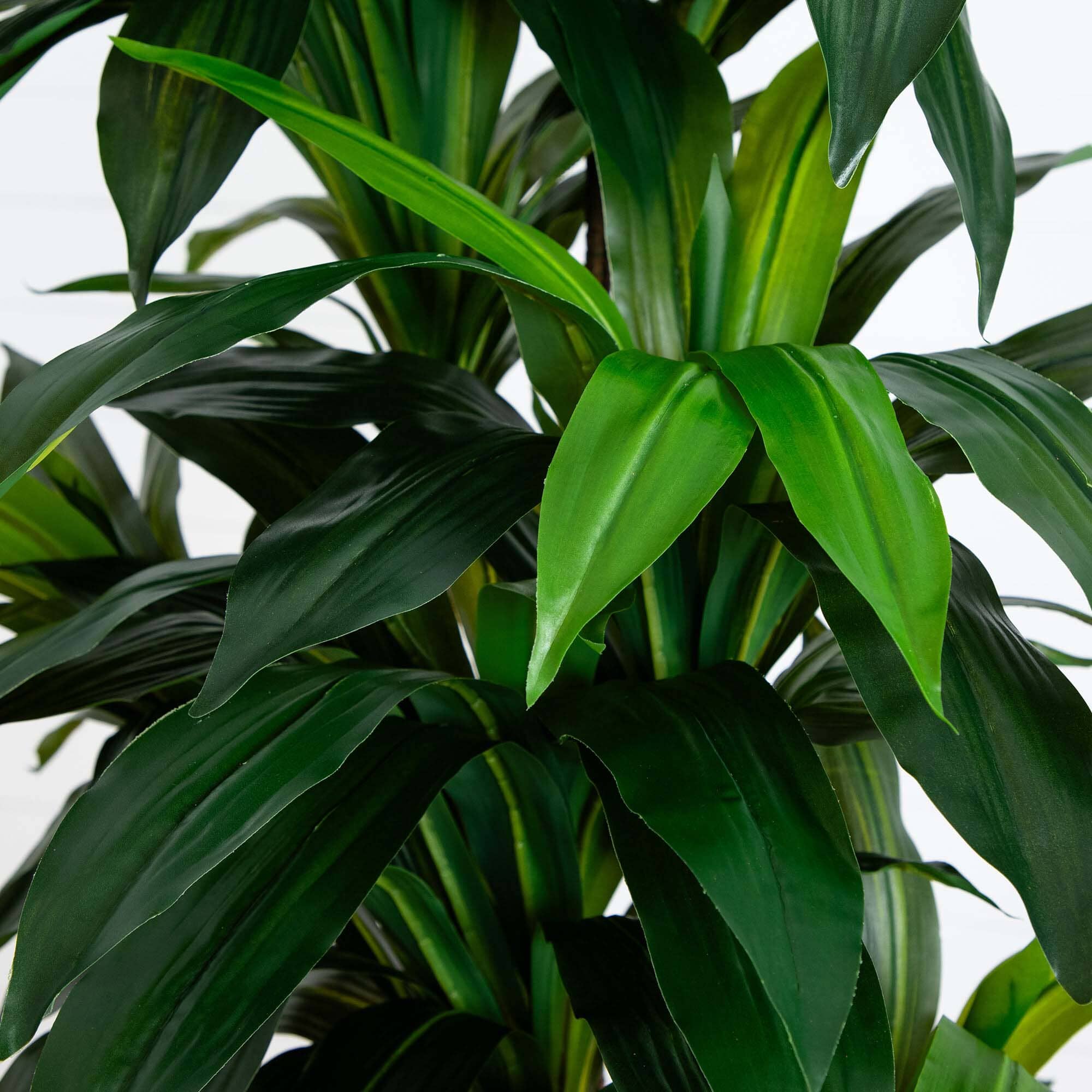 9' Artificial Dracaena Tree with Real Touch Leaves