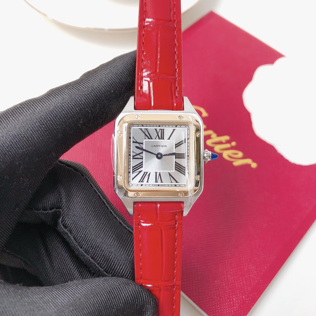 Santos Demoisell Santos Collection - Stainless Steel Mini Model Red(1:1 replica) - Top club