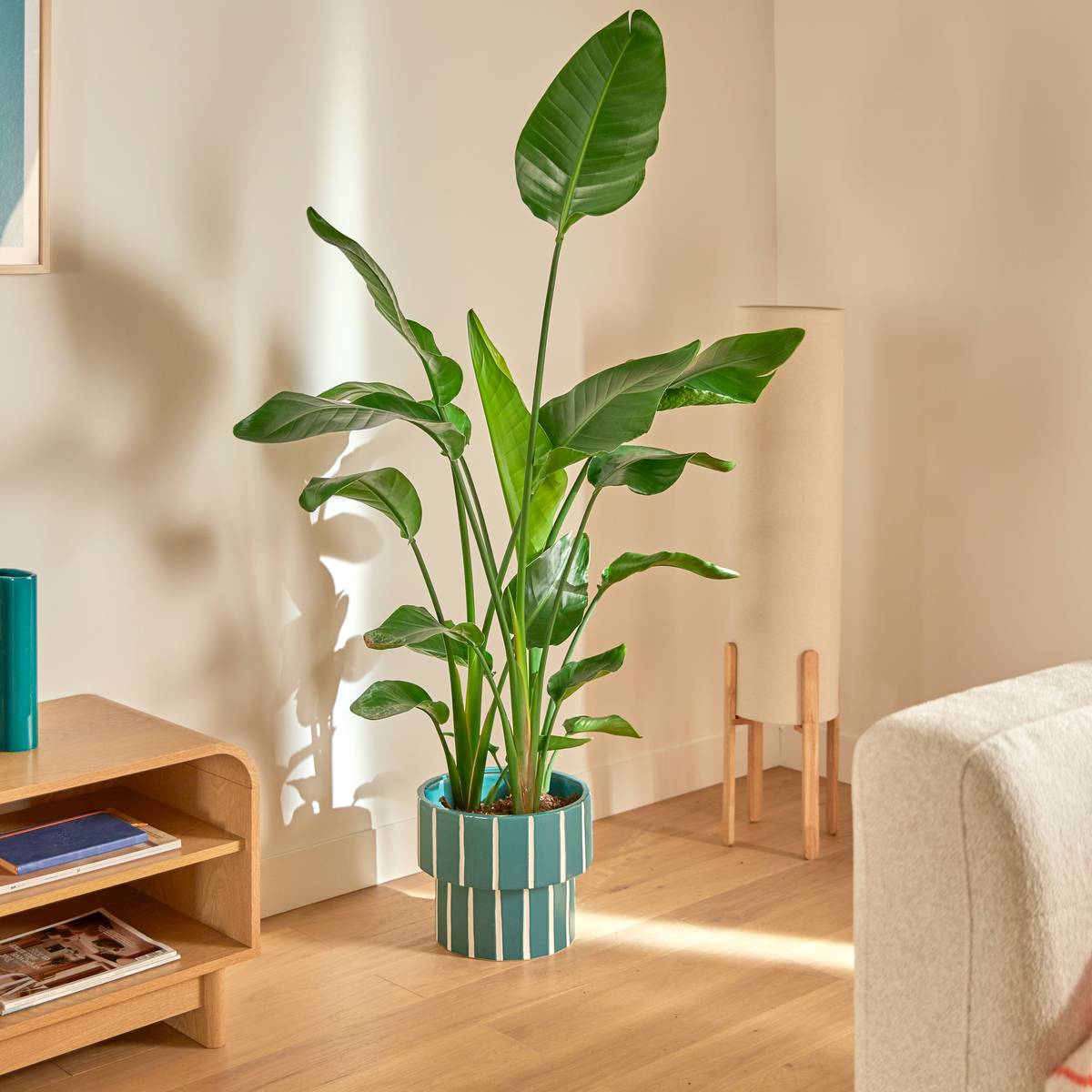 Planter "Flow" Various colors, D.28 cm