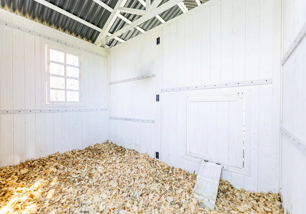 Zylina Modern Duck Barn - Duck Coop - Image 7