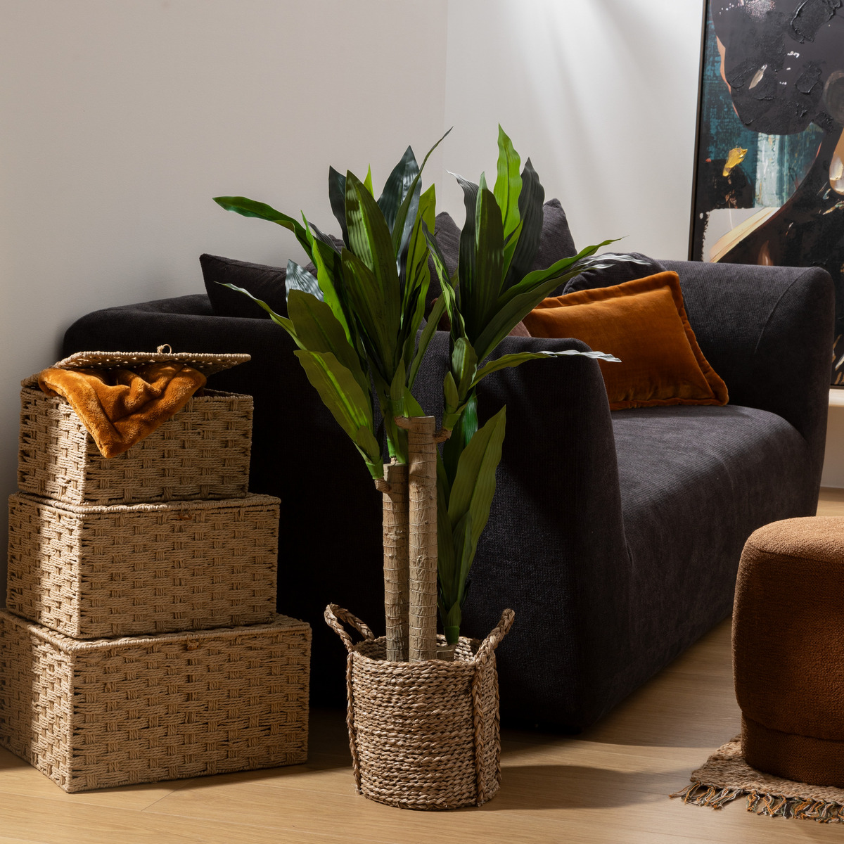 Artificial dracena "Onia" Black pot, H.105 cm