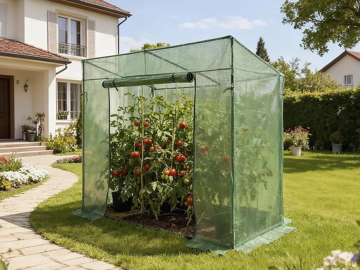 Serre tomates de jardin 