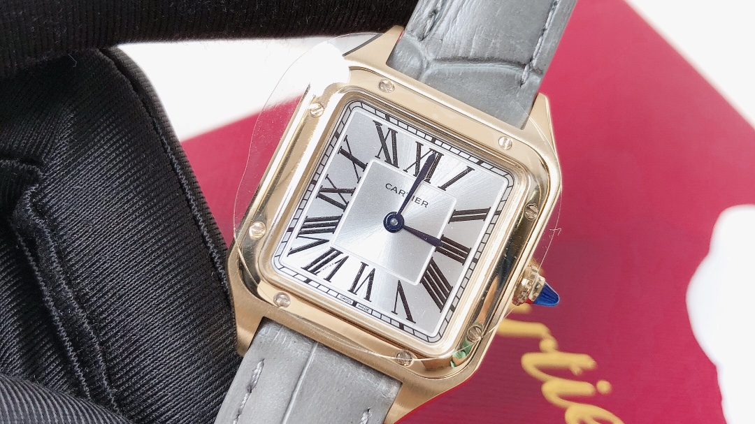 Santos Demoisell - Stainless Steel Mini - Grey Gold(1:1 replica) - Top club