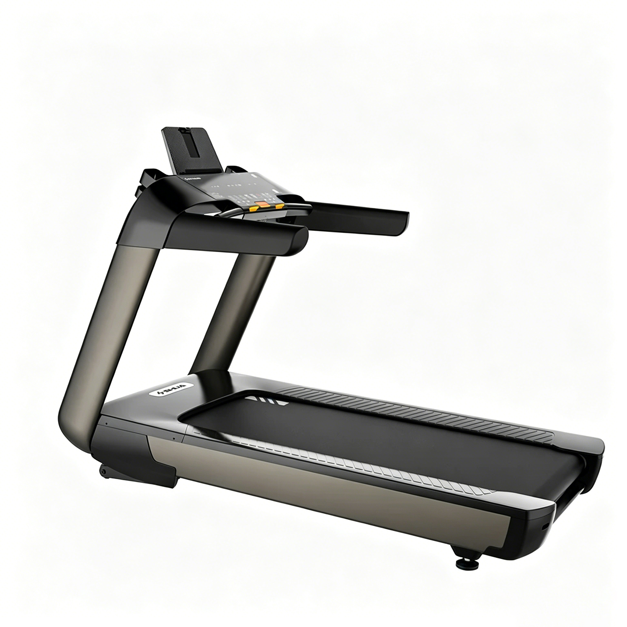 Large treadmills for gyms