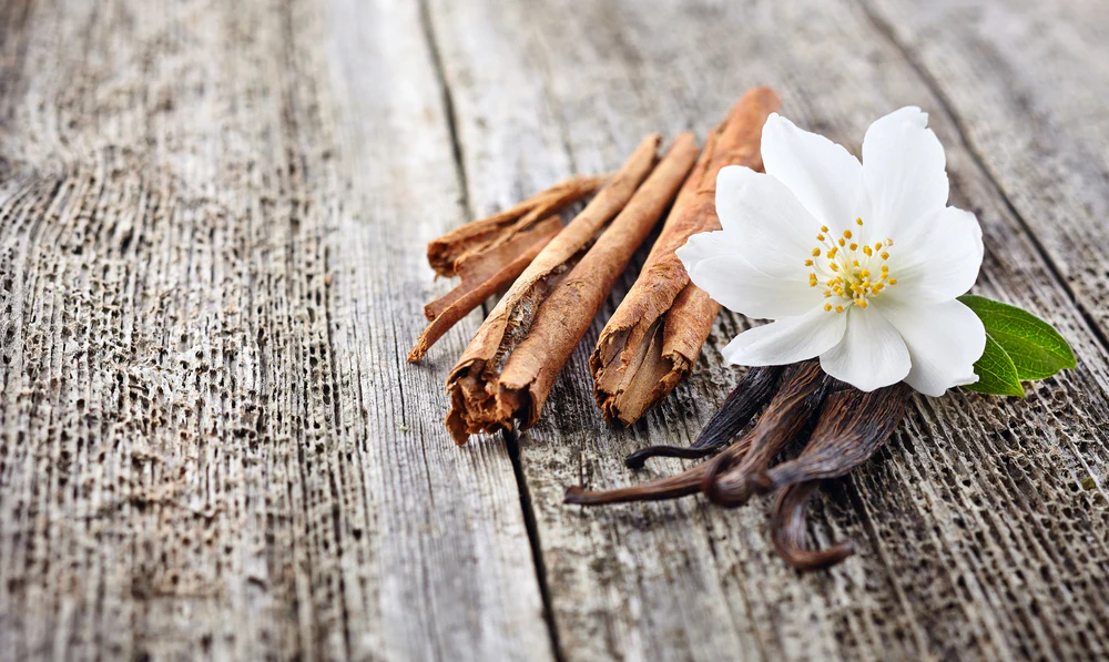 Cinnamon Spiced Vanilla Wax Melts