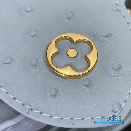 Powder Blue Ostrich Leather Mini Handbag with Gold Charm Chain1:1High-quality replica