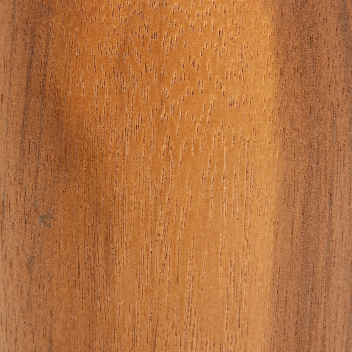 "Siera" specimen vase Acacia, H.12 cm