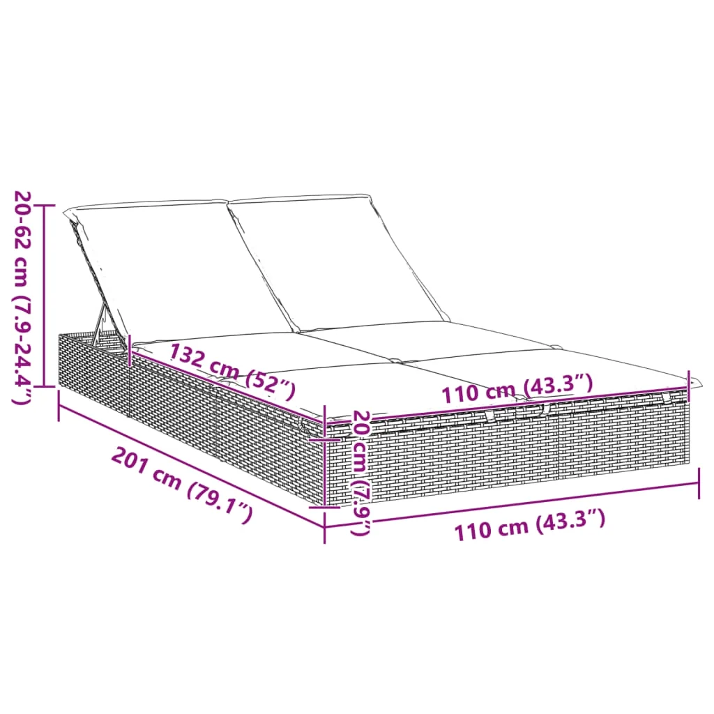 vidaXL 2-Person Sunbed with Cushions Daybed Outdoor Chaise Lounge Poly Rattan