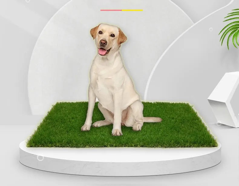 PawLawn | Binnen/Buiten Hondengrasmat met Lekbeveiliging