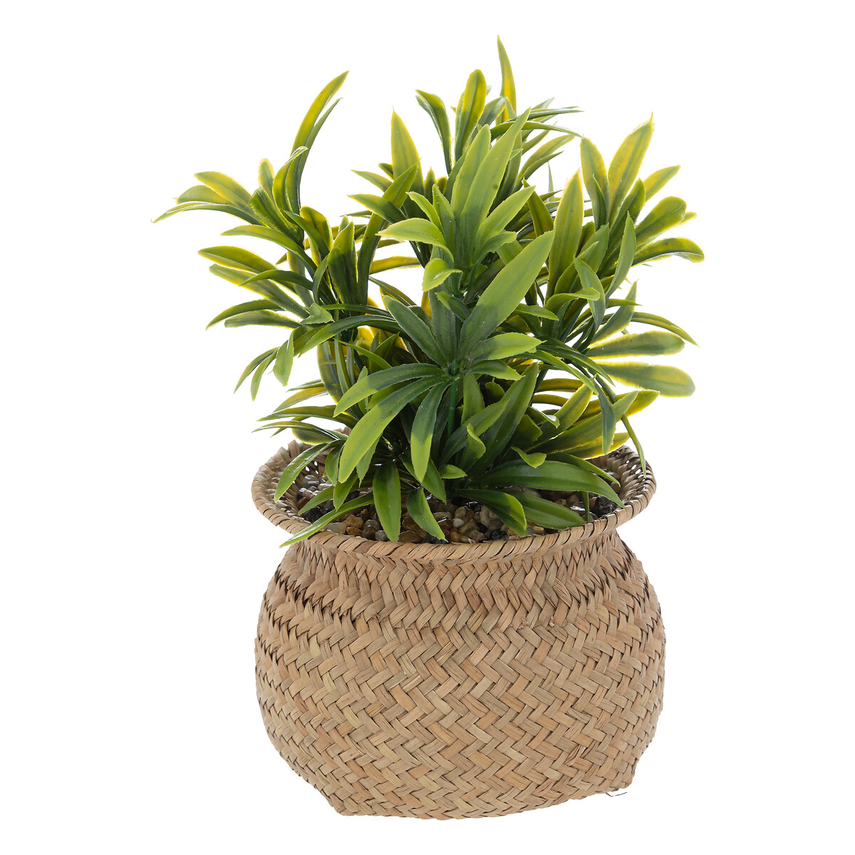Artificial plant Reed pot, h.20 cm