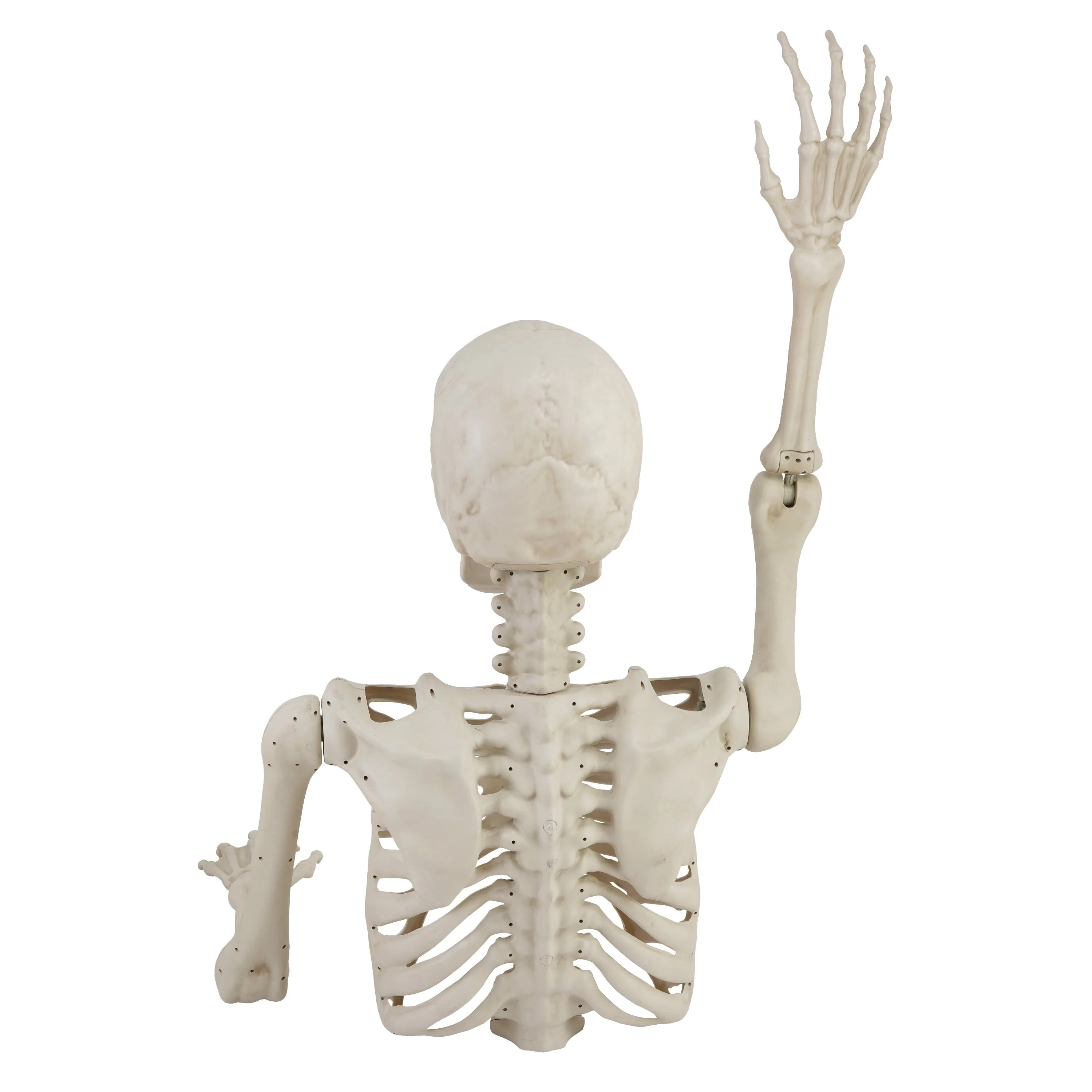 Skeleton Groundbreaker Decoration, Ivory, 46", Halloween by Way To Celebrate - Image 5 Skeleton Groundbreaker Decoration, Ivory, 46", Halloween by Way To Celebrate - Image 5
