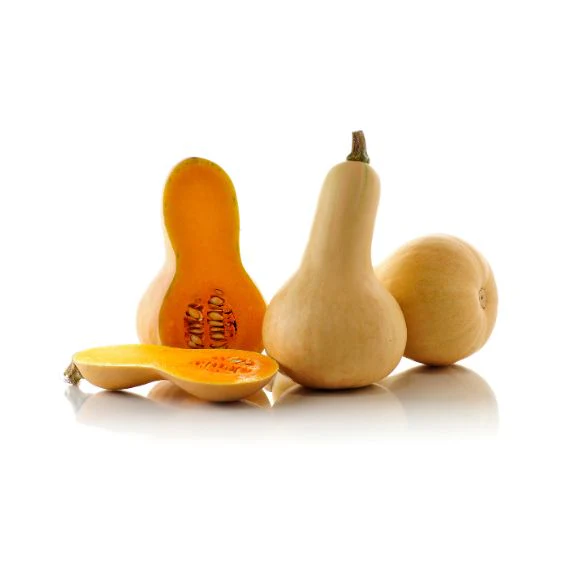Butternut squash – mildly nutty delight for every kitchen
