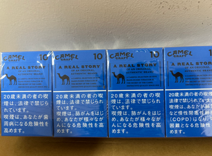 Camel Craft 10