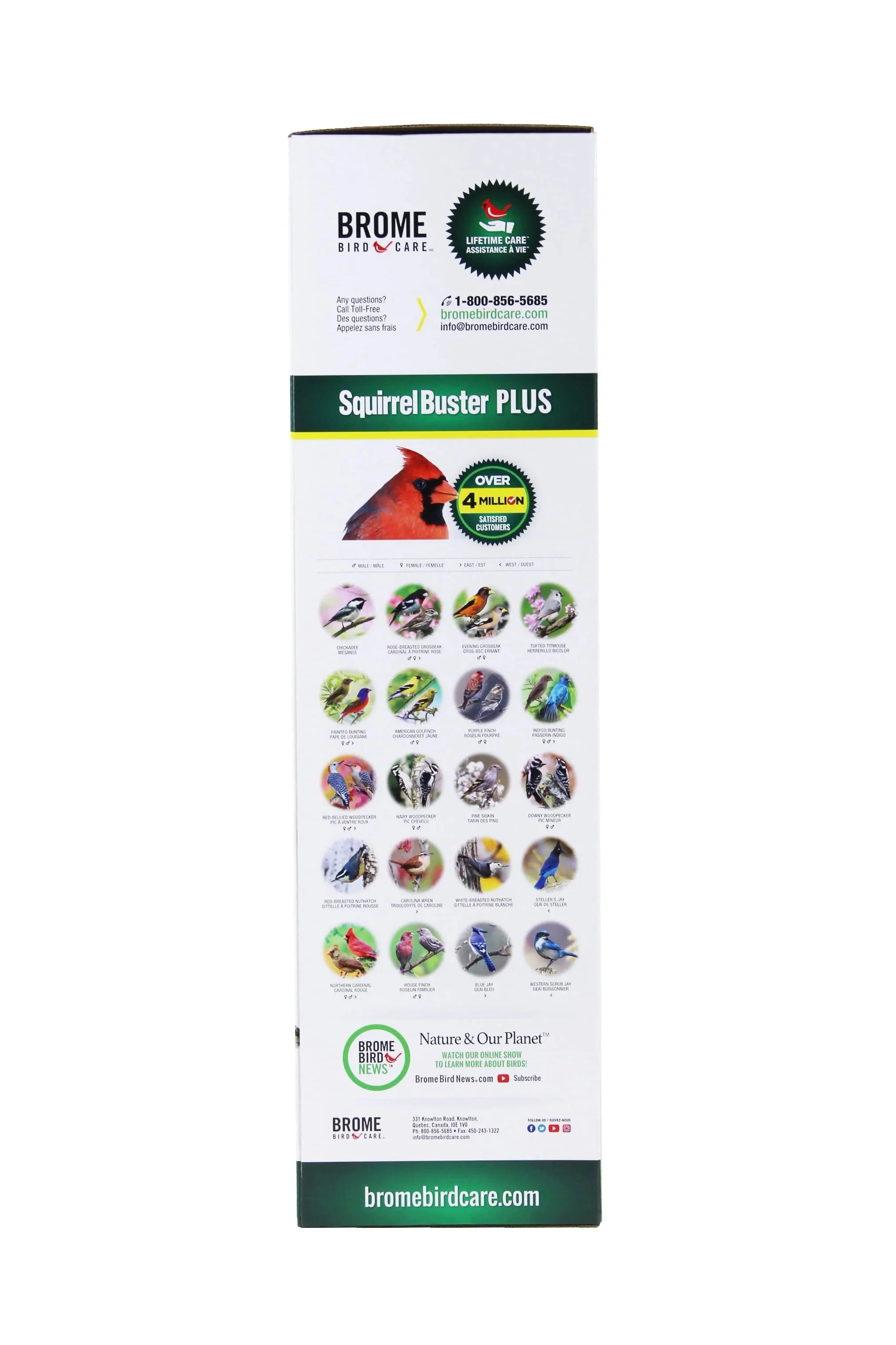 Brome Squirrel Buster Plus Tube Bird Feeder, 23 in, 3 Qt, 2 Pack - Cardinal Perch Ring - Image 3 Brome Squirrel Buster Plus Tube Bird Feeder, 23 in, 3 Qt, 2 Pack - Cardinal Perch Ring - Image 3