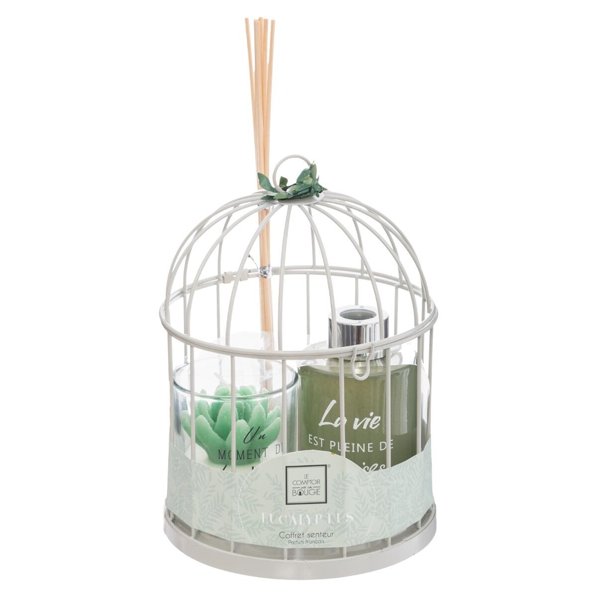 Cage gift set "Zen" Eucalyptus, D.14 cm