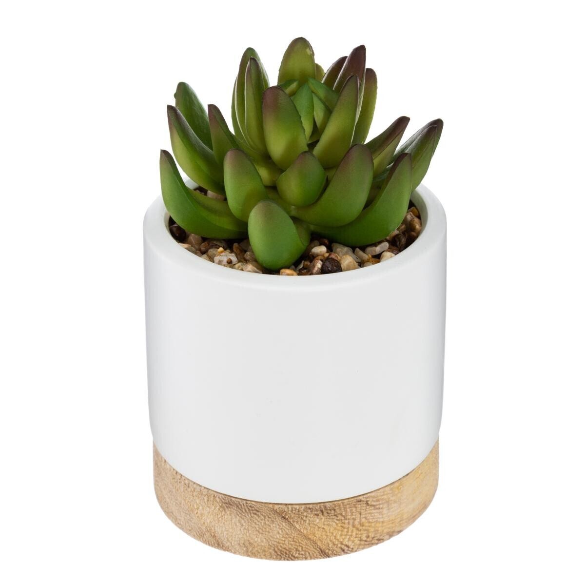 Artificial succulent Ceramic pot, H.12 cm