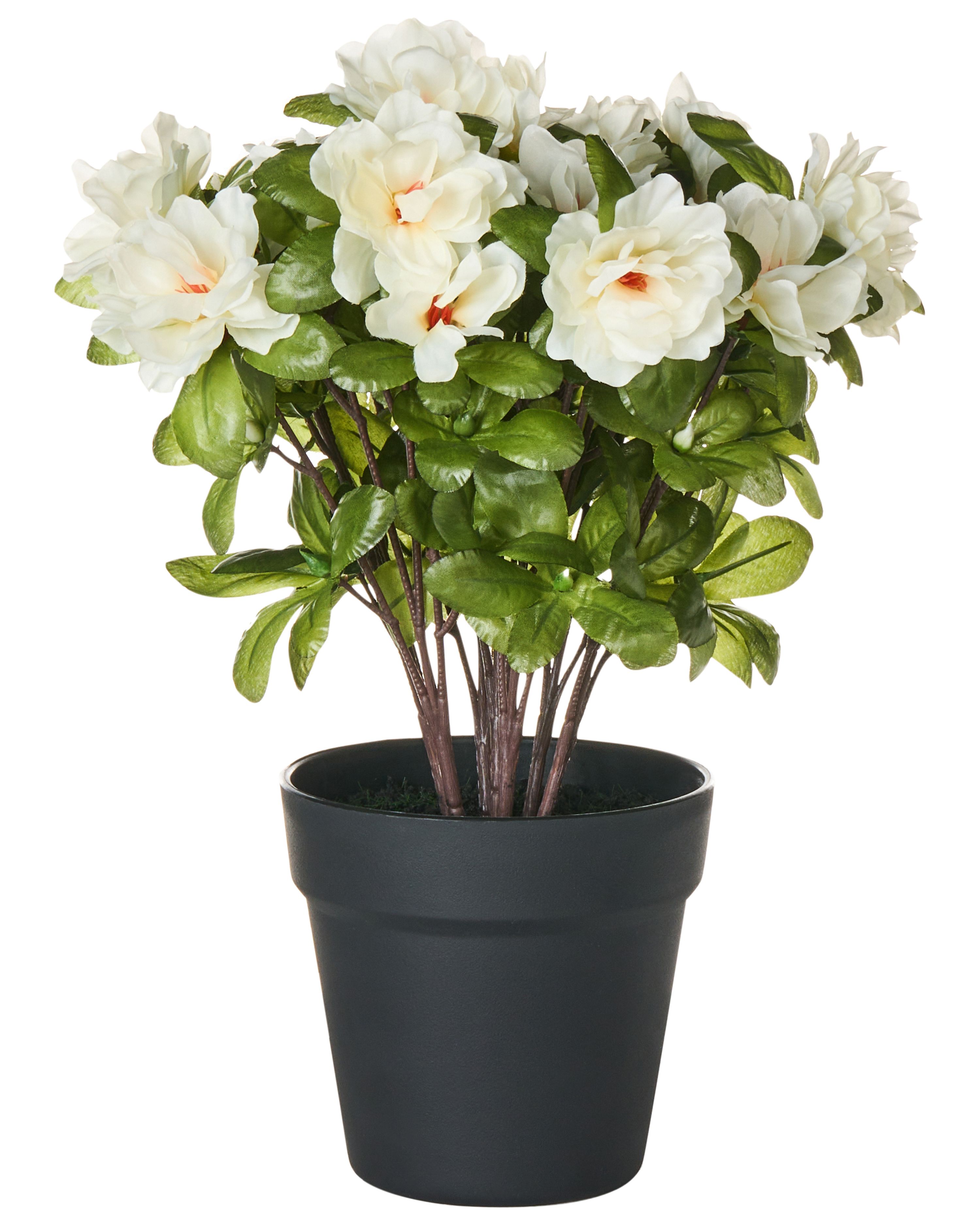 Artificial Plant NOVELLA 36 cm White