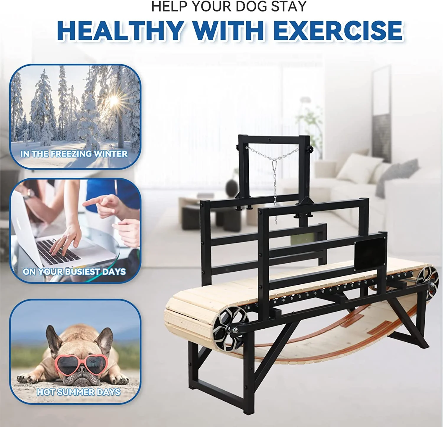 Dog Treadmill Walkable Workout Equipment Small Manual Machine for Large Dogs 10MPH - Image 5