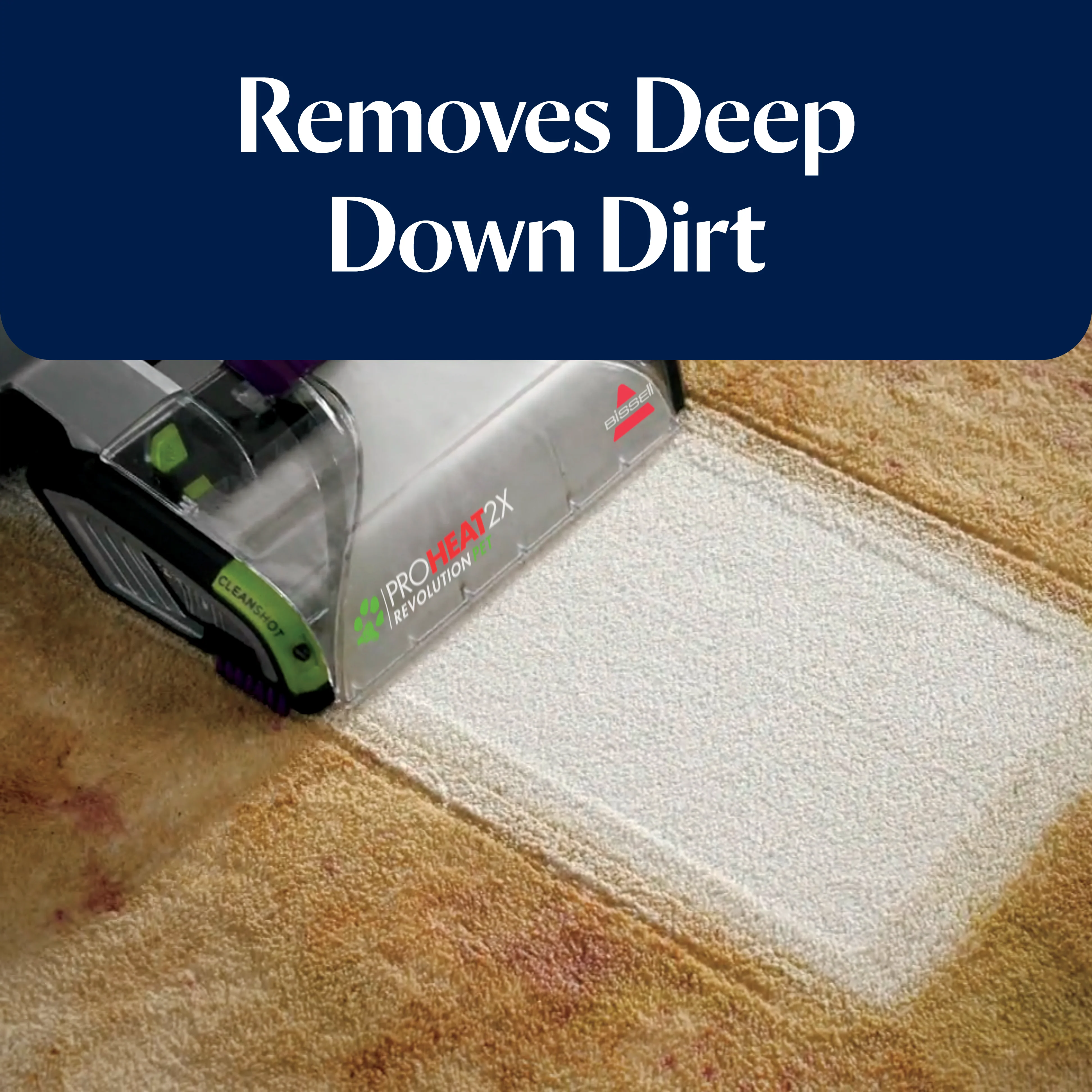 Carpet Washer Starter Kit