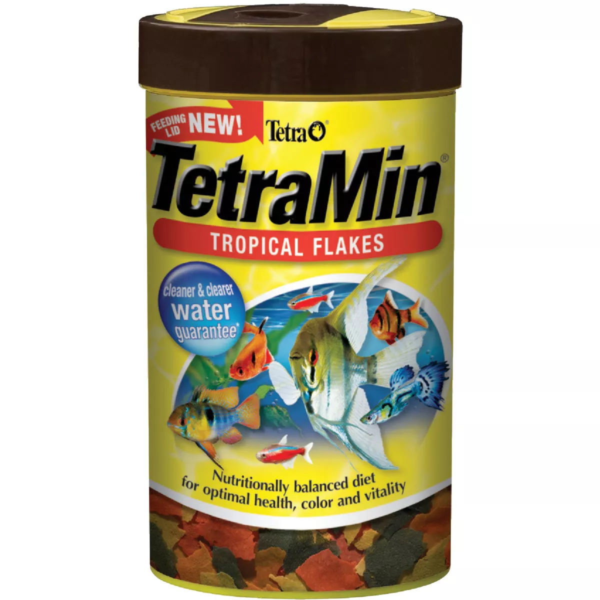 Fish Food & Healthcare