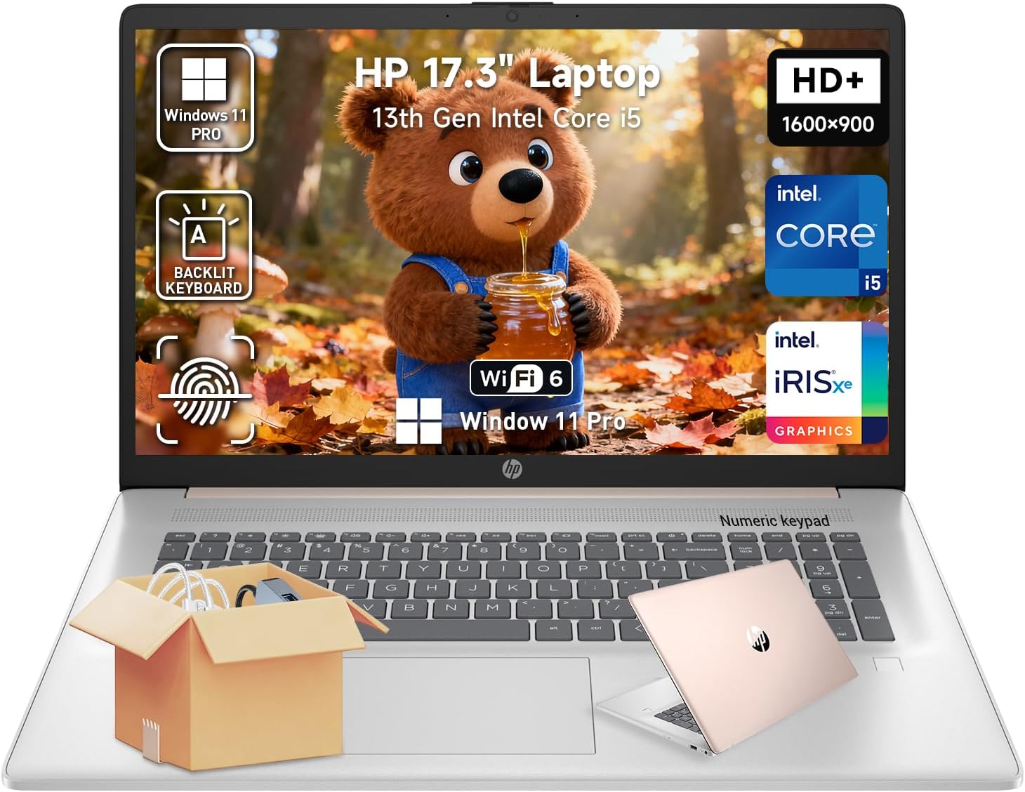 HP 17 Laptop Computer  17.3