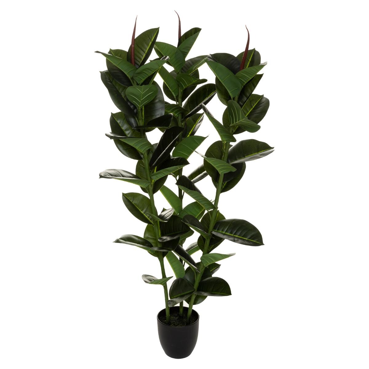 Artificial ficus robusta Green, H.120 cm