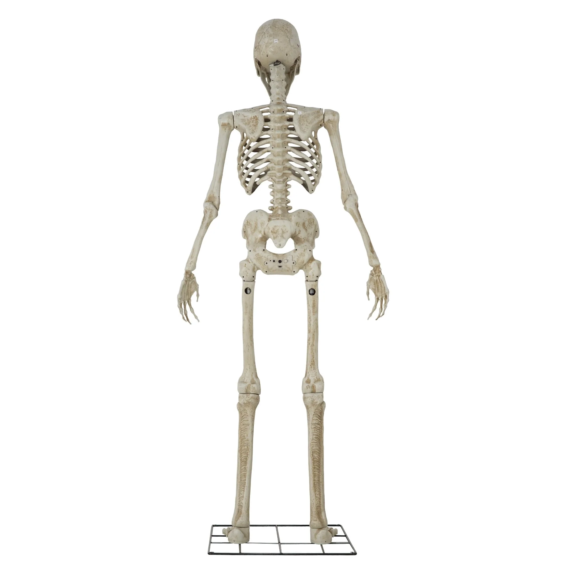 Way To Celebrate 8-Foot Animated Skeleton Plastic Outdoor Halloween Decor - Image 5 Way To Celebrate 8-Foot Animated Skeleton Plastic Outdoor Halloween Decor - Image 5