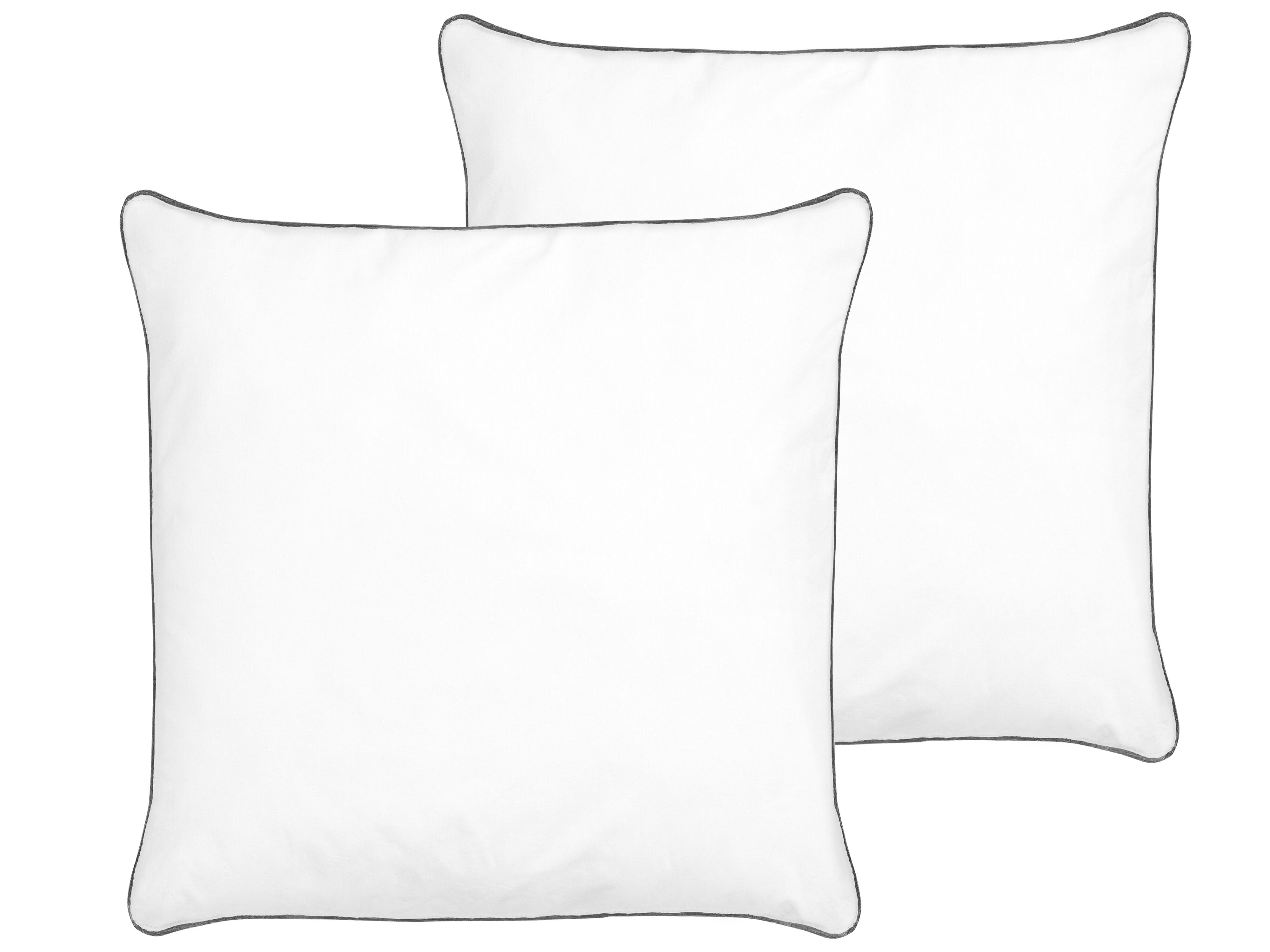 Set of 2 Pillows PELISTER Low Microfibre 80 x 80 cm White