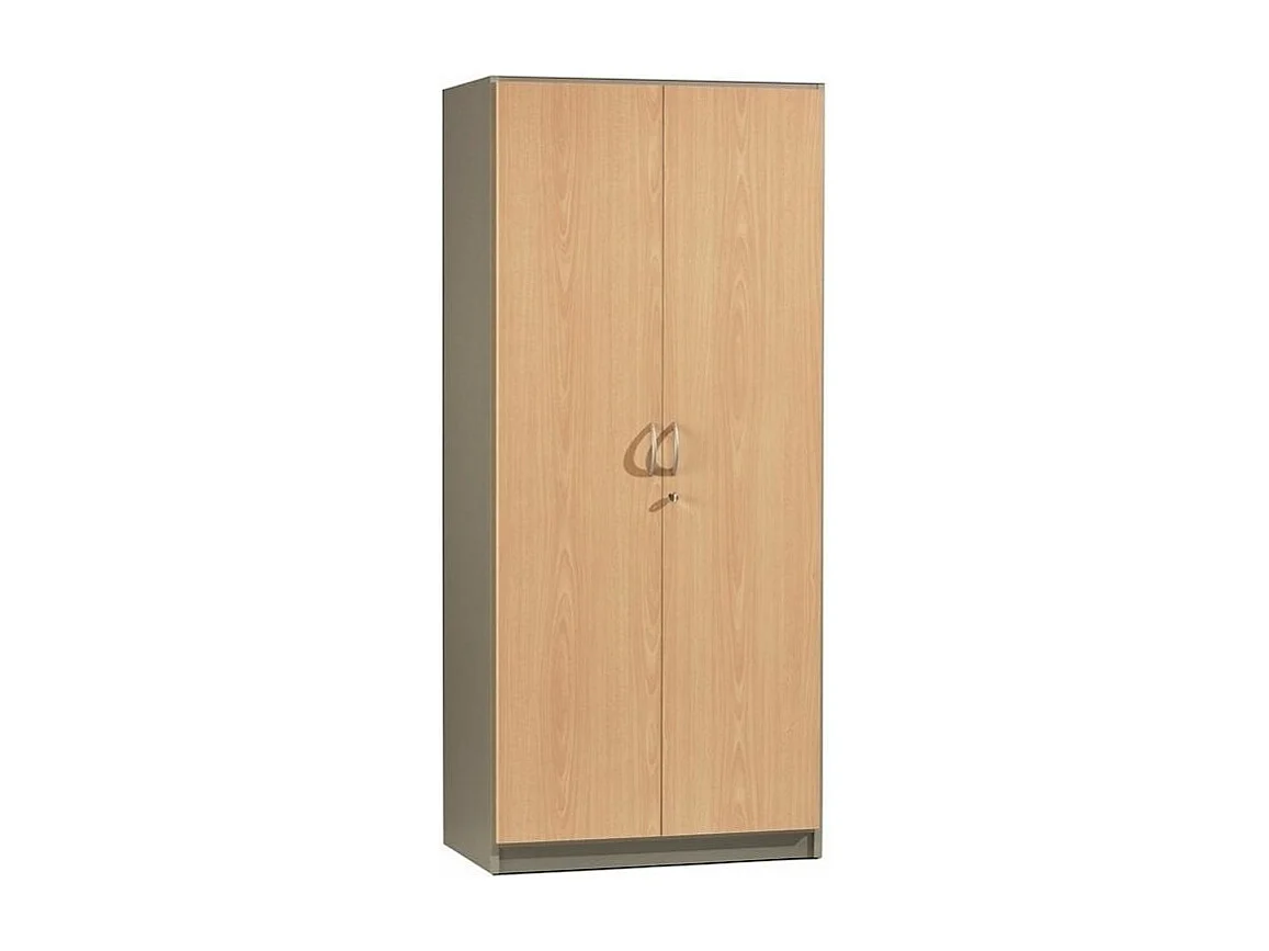 Armoire de bureau 2 portes hêtre clair et gris Wirma