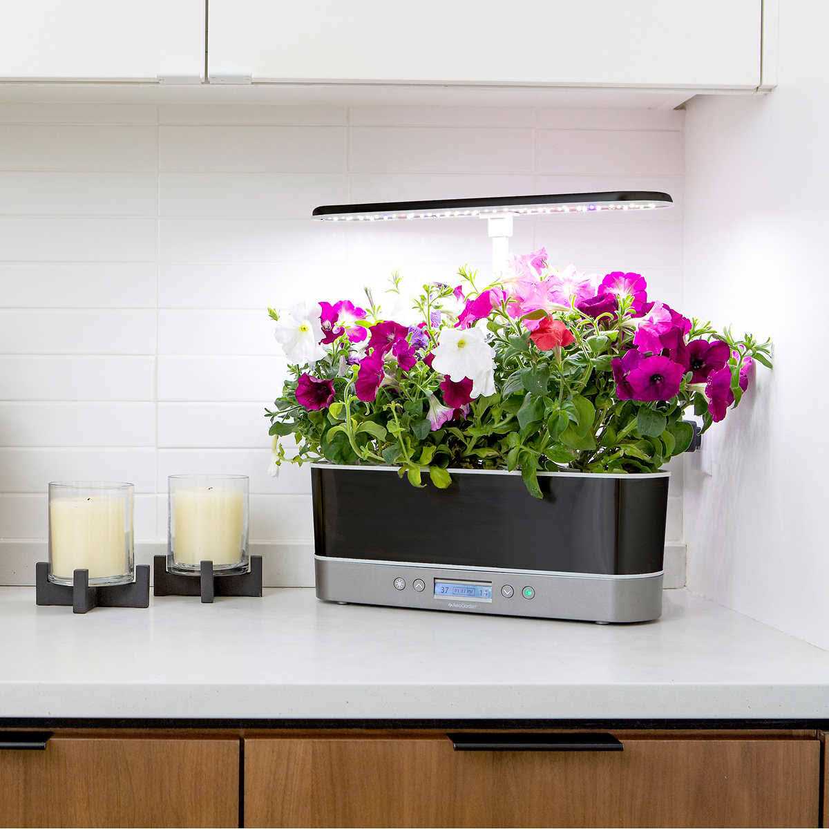 AeroGarden Bounty Elite Indoor Garden With 50W LED Grow Light - Bounty Elite - Image 3 AeroGarden Bounty Elite Indoor Garden With 50W LED Grow Light - Bounty Elite - Image 3