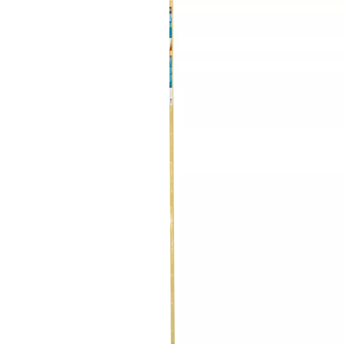 M-D Building Products 7/8 In. X 72 In. Satin Brass Aluminum Carpet Trim with Screw Nails
