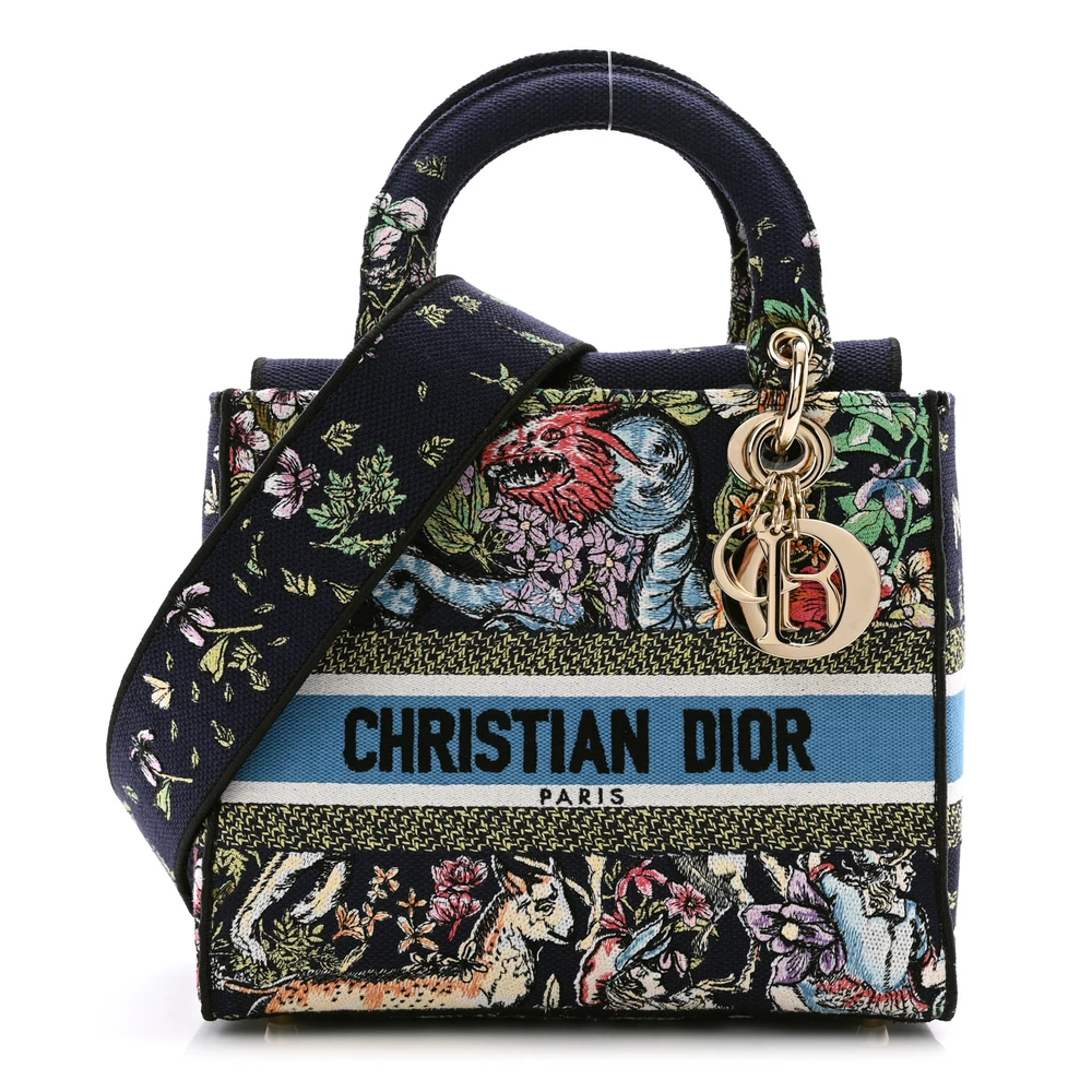 Dior Blue Multicolor Embroidered Canvas Medium D-Constellation Lady D-Lite Gold Hardware High-end reps