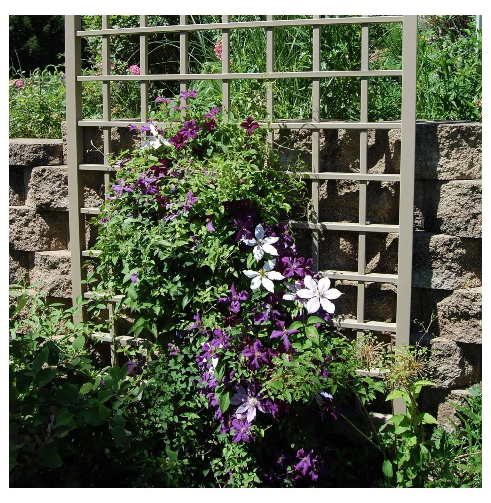 Dura-Trel Cambridge 57 by 95 Inch Heavy Duty Weather Stabilized PVC Vinyl Outdoor Garden Patio Trellis with Wall Mounting Screws and Spacers, Mocha - Image 6