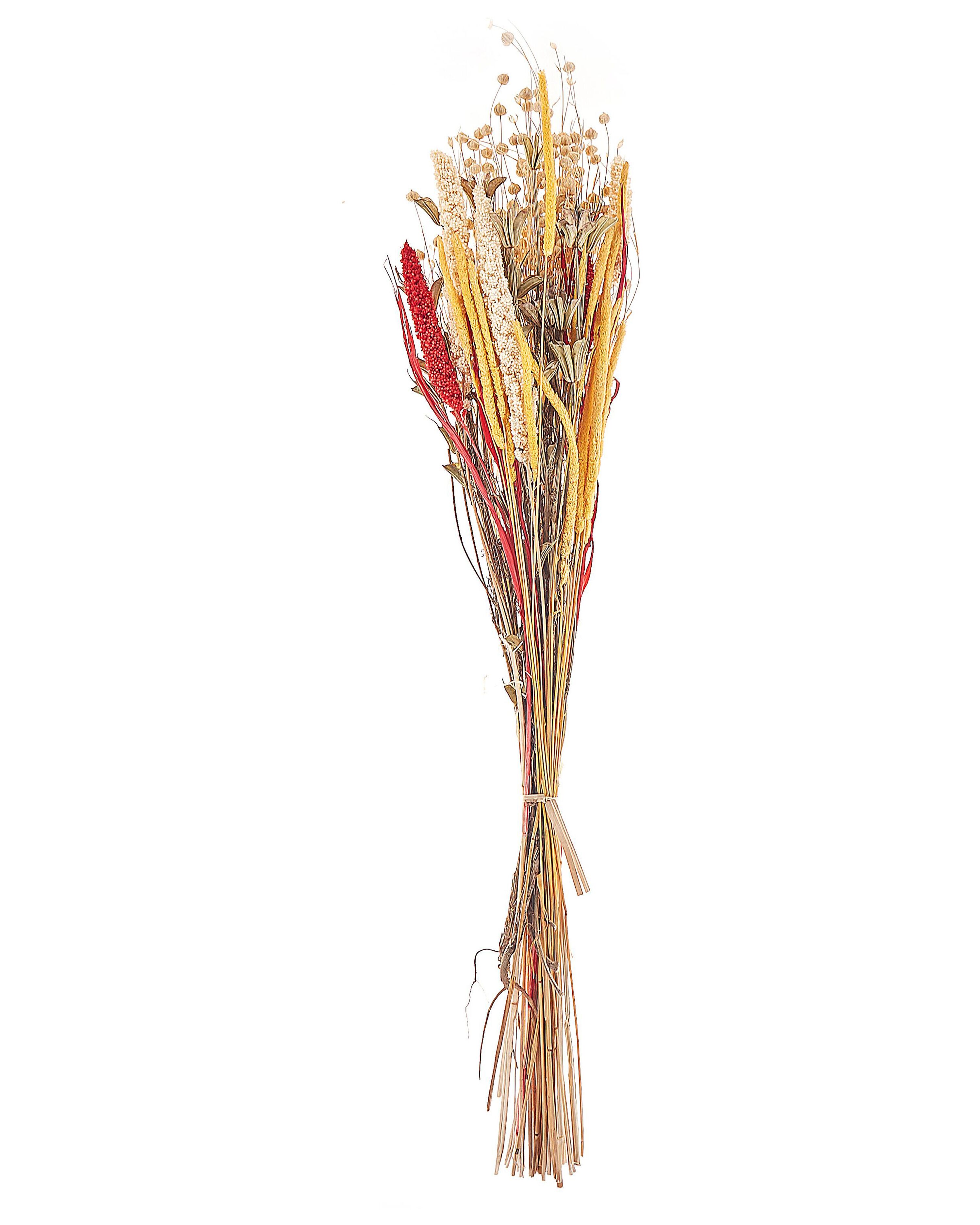 Dried Flower Bouquet PAMPELUNA 65 cm Natural
