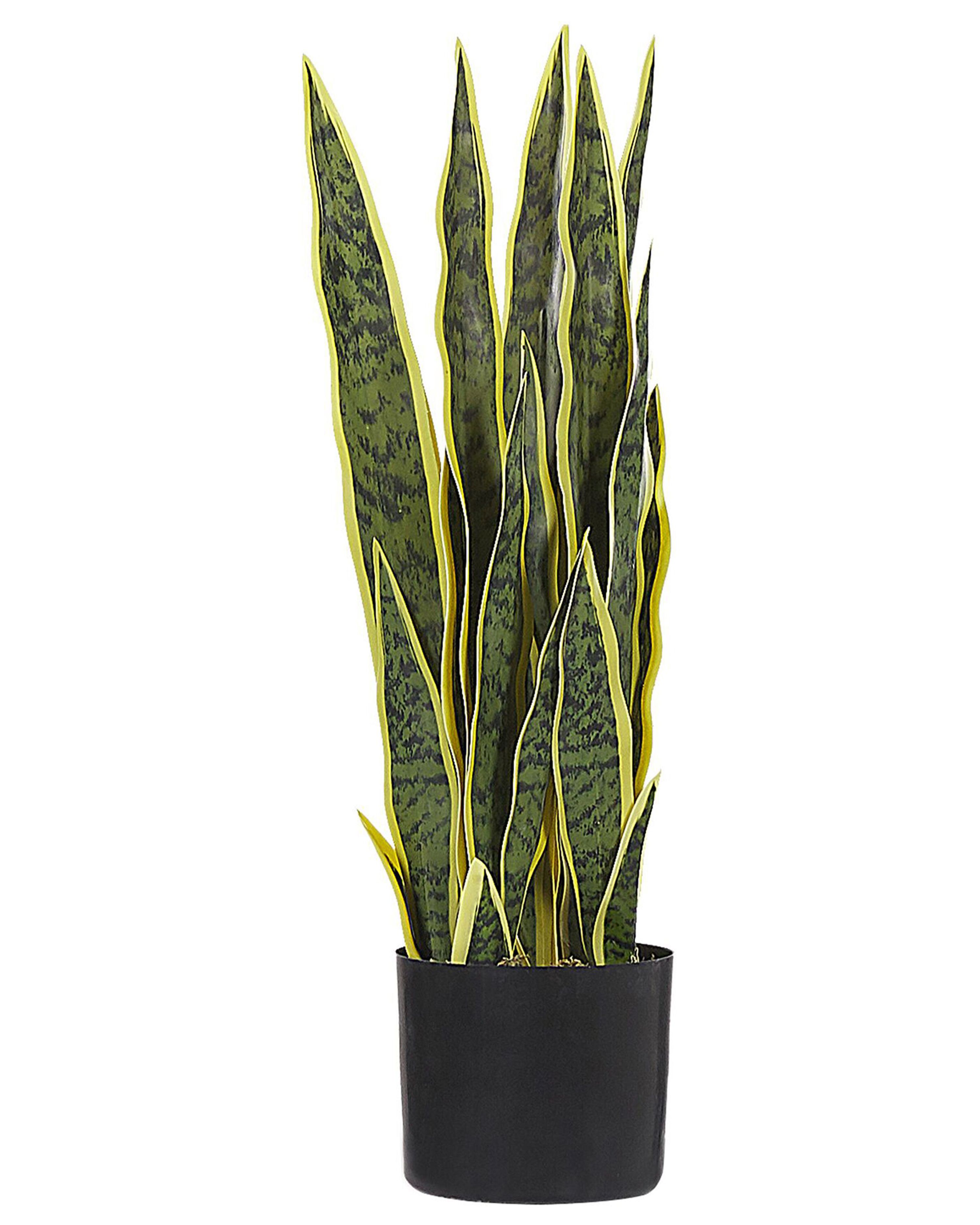 Artificial Plant SNAKE PLANT 63 cm Green