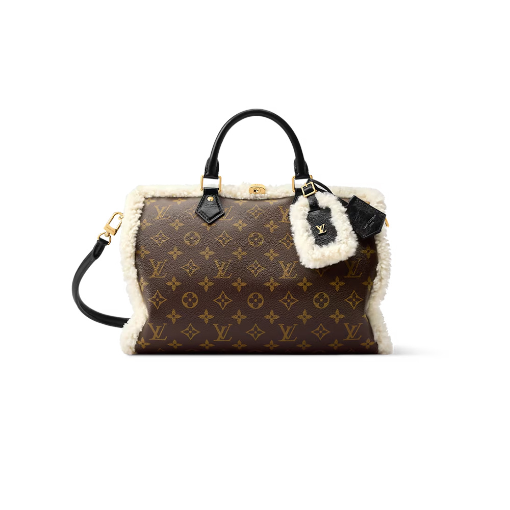Louis Vuitton Speedy Soft 30 Teddy（10A Mirror Version）1:1High-quality replica