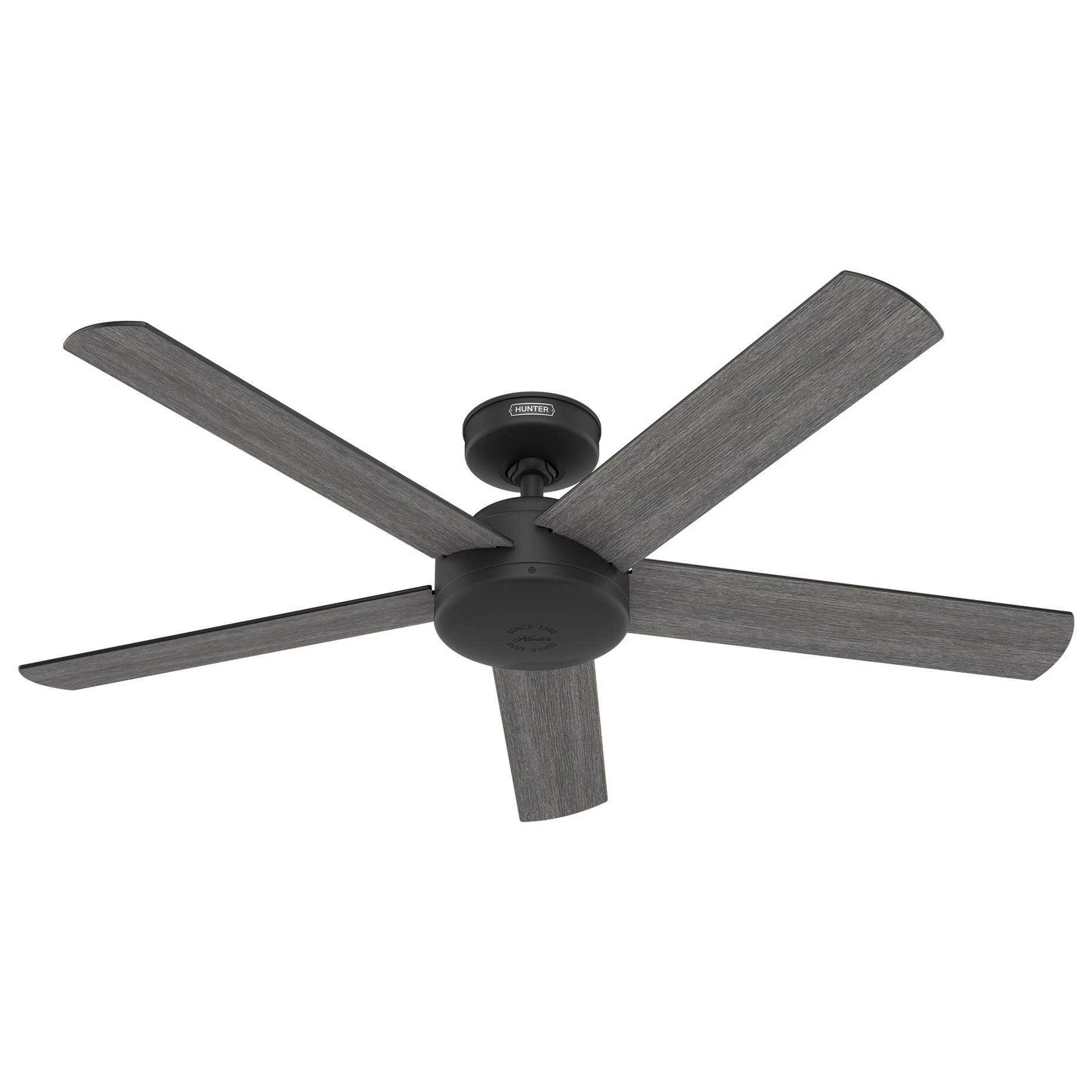 Hunter Anvik 52” Indoor/Outdoor Ceiling Fan with Remote