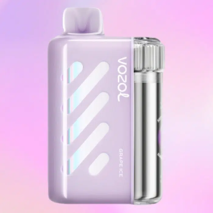 VOZOL VISTA 40000 puffs