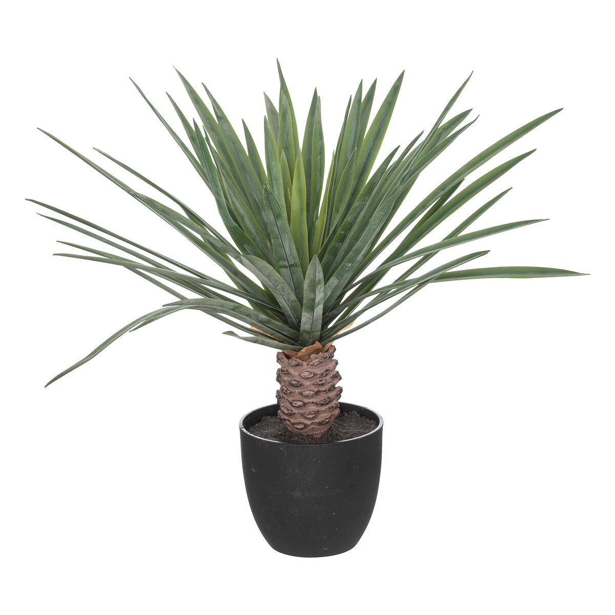 Artificial palm tree "Rivi" Black, H.52 cm