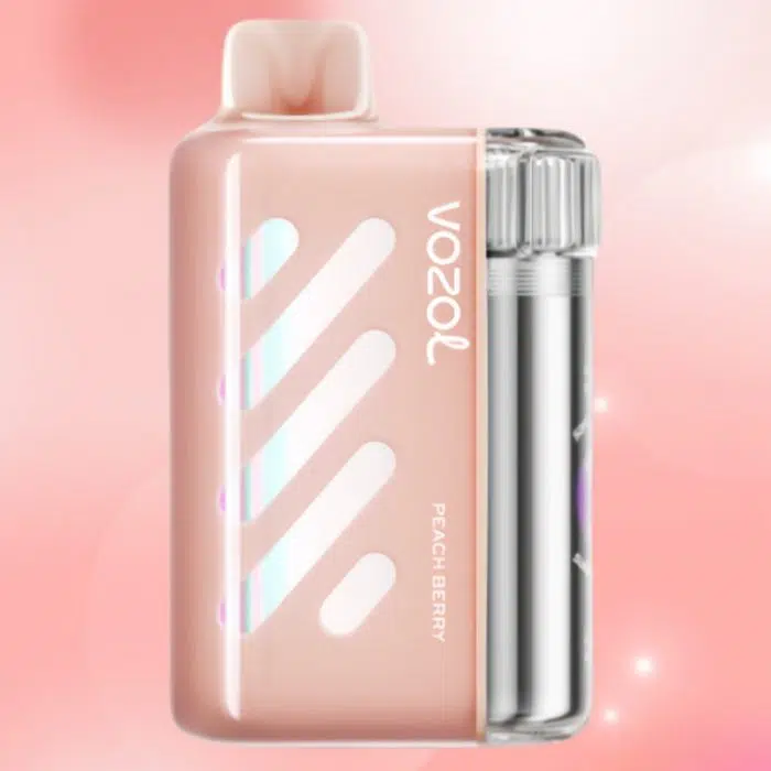 VOZOL VISTA 40000 puffs