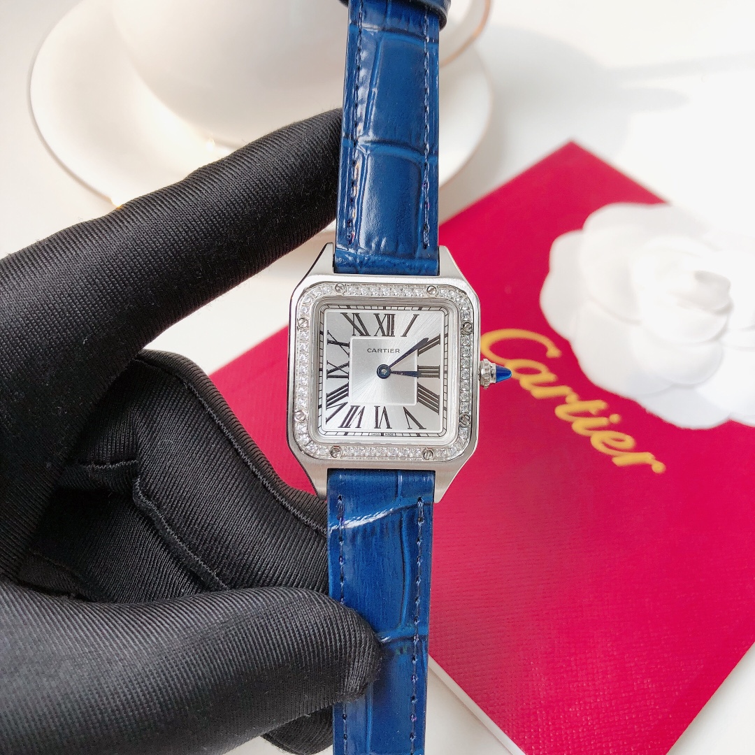 Santos Demoisell Santos Platinum Diamonds - Stainless Steel Mini(1:1 replica) - Top club