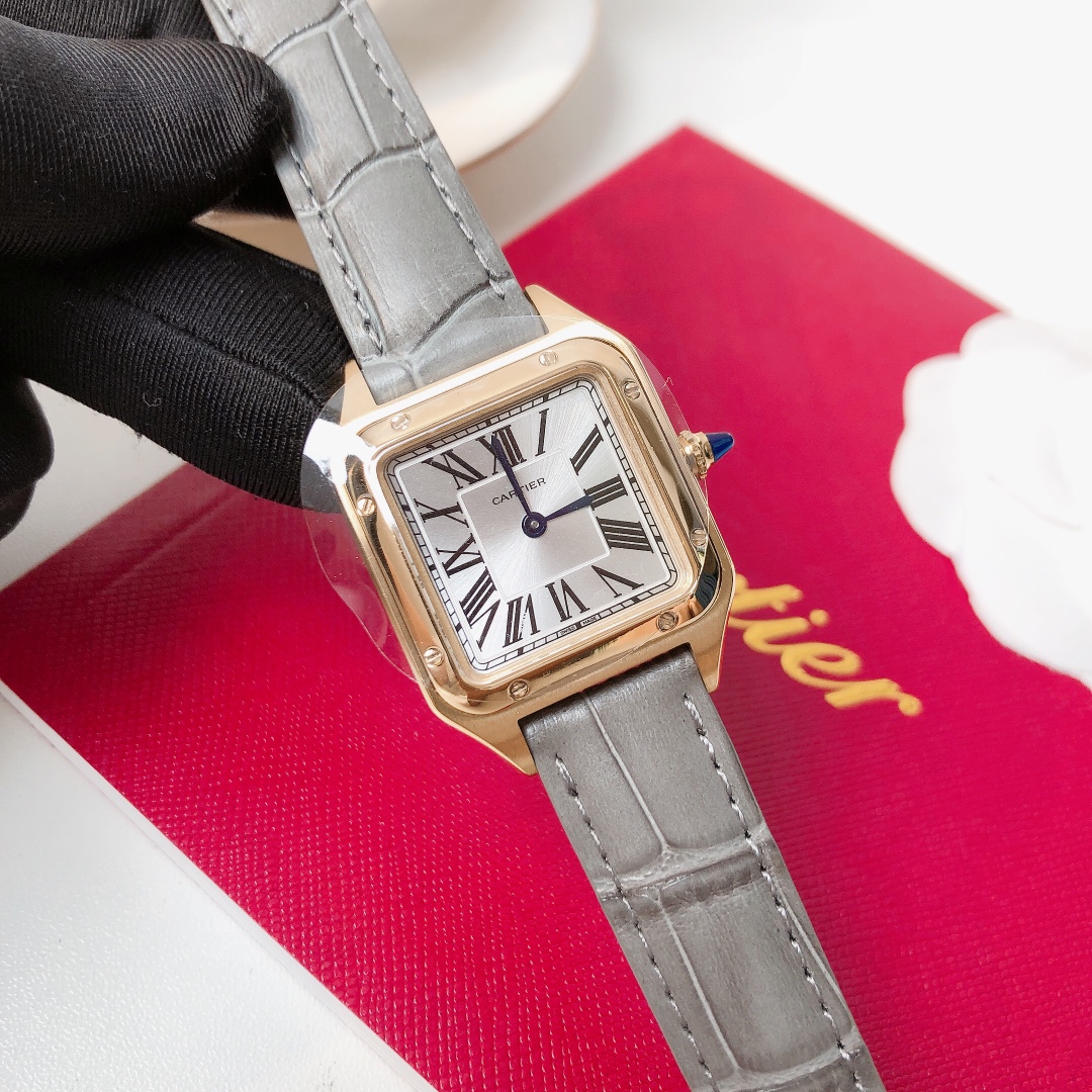 Santos Demoisell - Stainless Steel Mini - Grey Gold(1:1 replica) - Top club