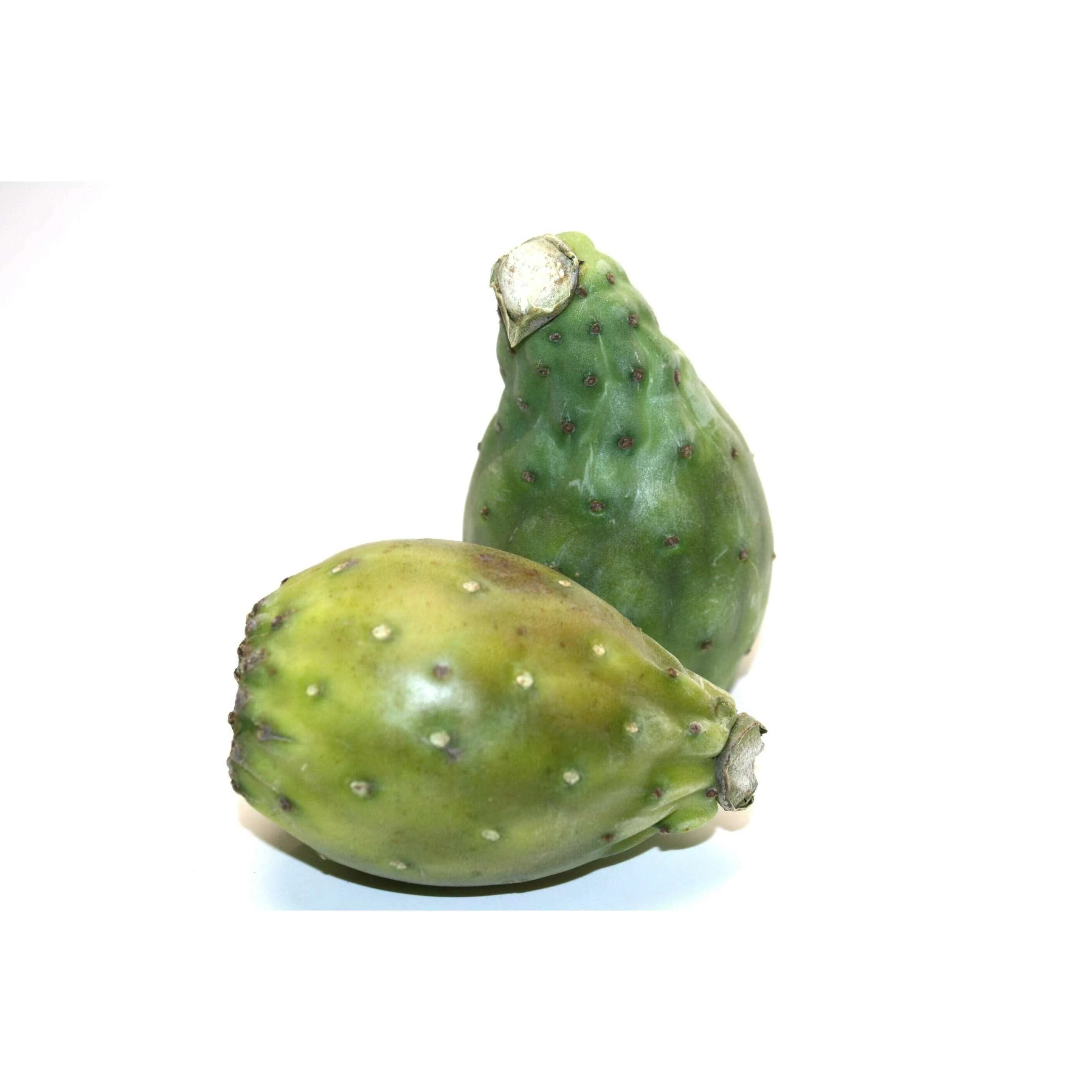 Prickly pear – Exotic, sweet & vitamin-rich for connoisseurs