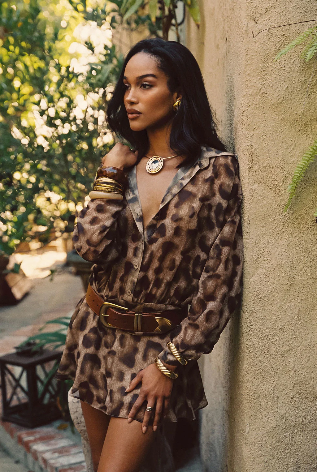 Jasper Brown and Gold Statement Belt